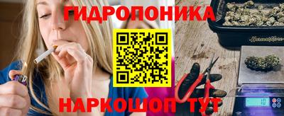 молекула духа Шахты