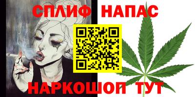 молекула духа Шахты