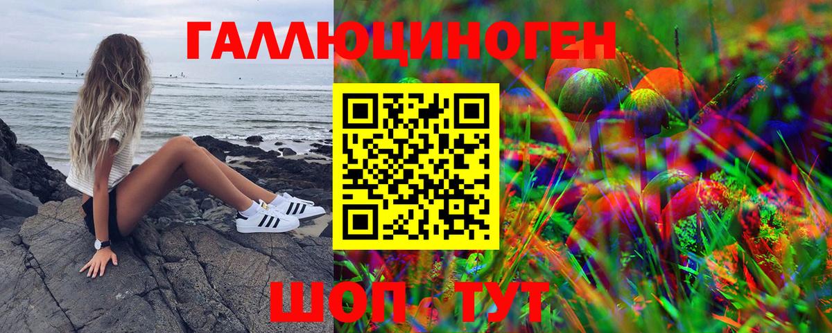 Псилоцибиновые грибы GOLDEN TEACHER Междуреченск