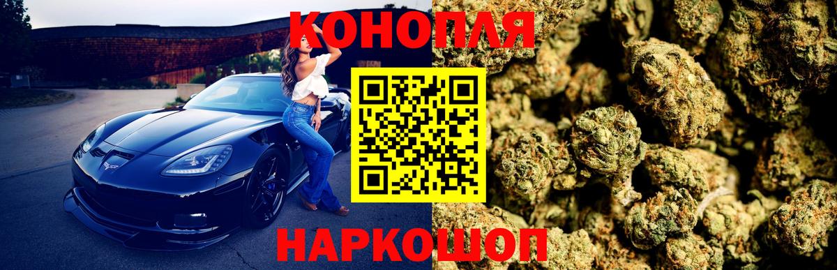 МАРИХУАНА план  Вход с VPN  Междуреченск  Бошки Шишки сатива  МАРИХУАНА конопля 